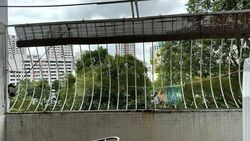 Blk 216 Jurong East Street 21 (Jurong East), HDB Executive #605500031